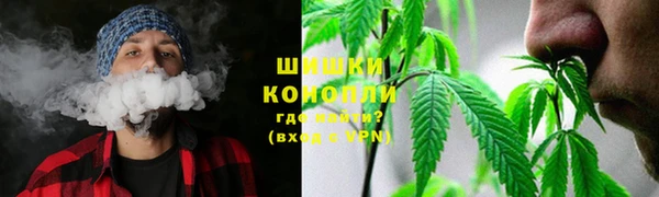 бошки Абаза