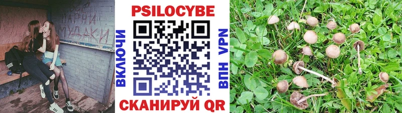 Псилоцибиновые грибы Psilocybine cubensis  сколько стоит  Уфа 