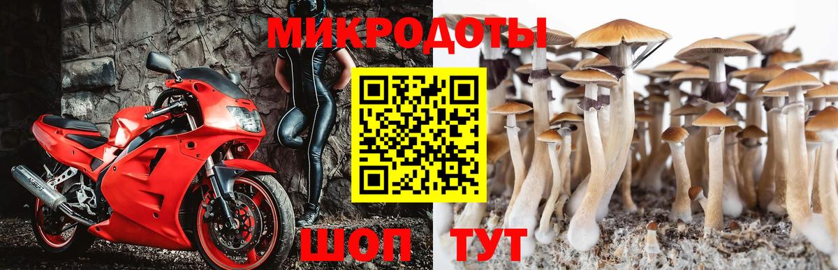 Галлюциногенные грибы Cubensis Уфа