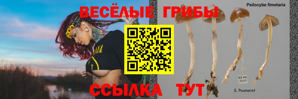 Псилоцибиновые грибы GOLDEN TEACHER  Псилоцибиновые грибы мицелий  Вход с VPN  Уфа 
